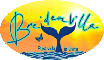 breidenvilla.com
