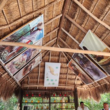 Art paintings displayed on a thatched roof ceiling in a rustic bar.