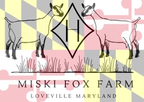 Miski Fox Farm