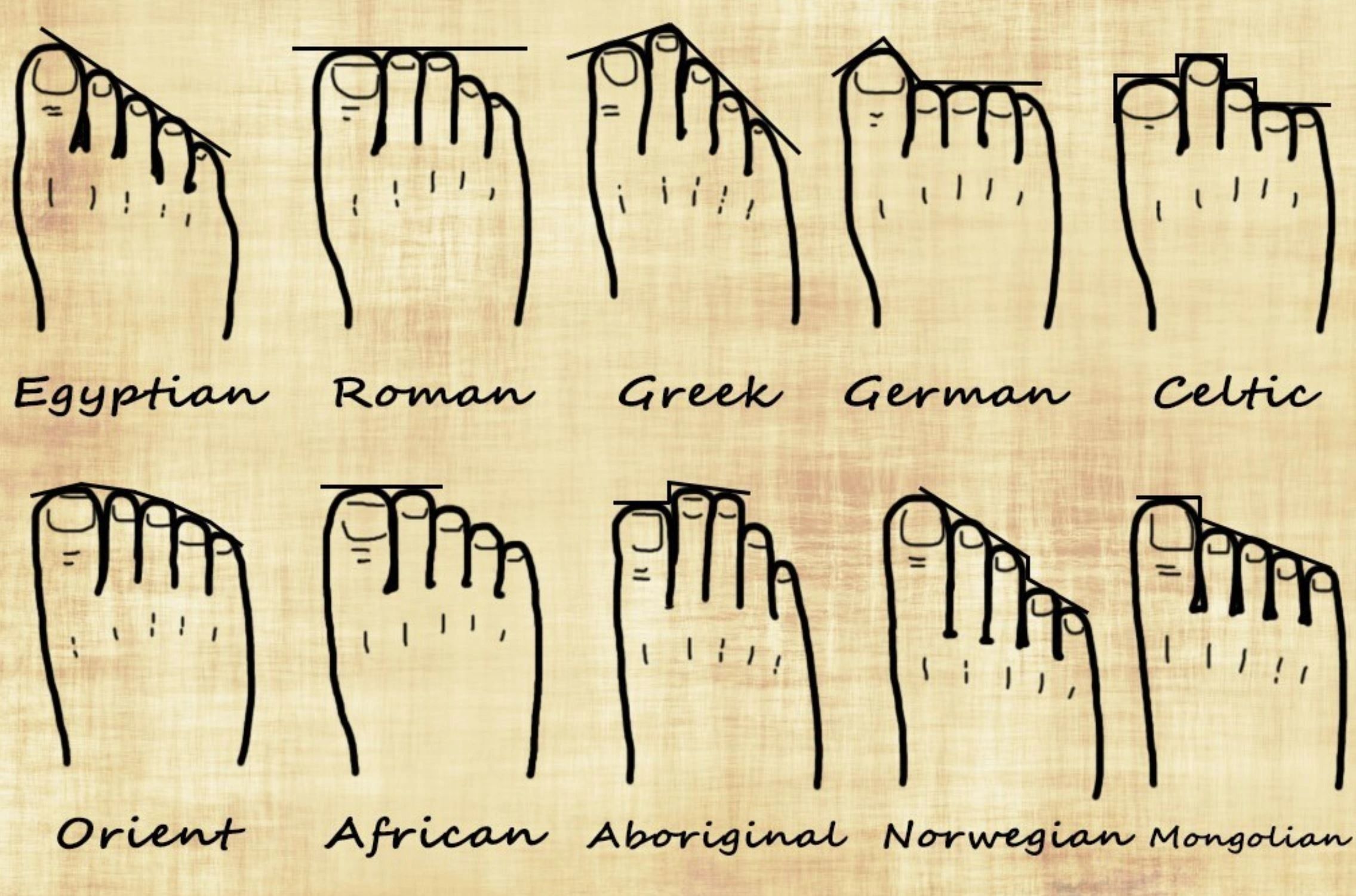 Natural foot shape deals