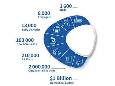 Tel Aviv Sourasky Medical Center by numbers, beds, employees, baby deliveries, admissions, annually