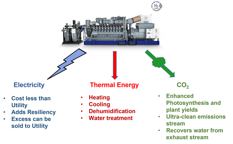 CoGen
Genset with multiple outputs
Electrical Power
Thermal Power 
CO2
Cannabis cultivation