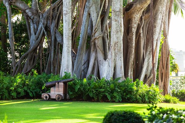 An ancient canon  in West Palm Beach FL