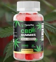 Terra Pro CBD Gummies Reviews