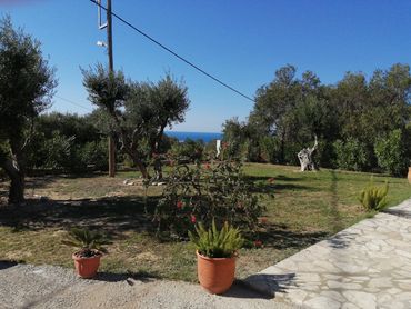 Front garden