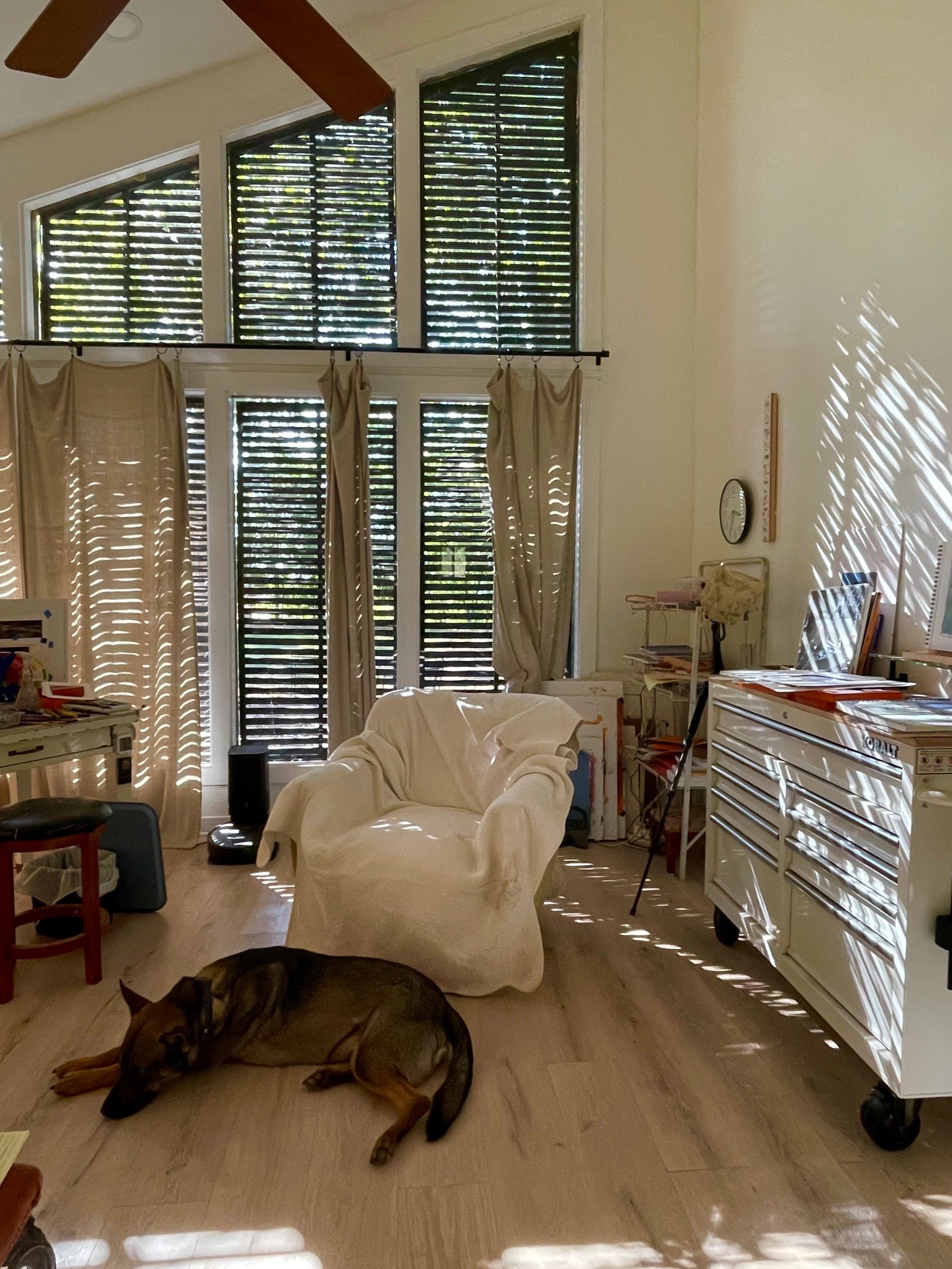 Sunlit room with a white armchair and a sleeping dog.