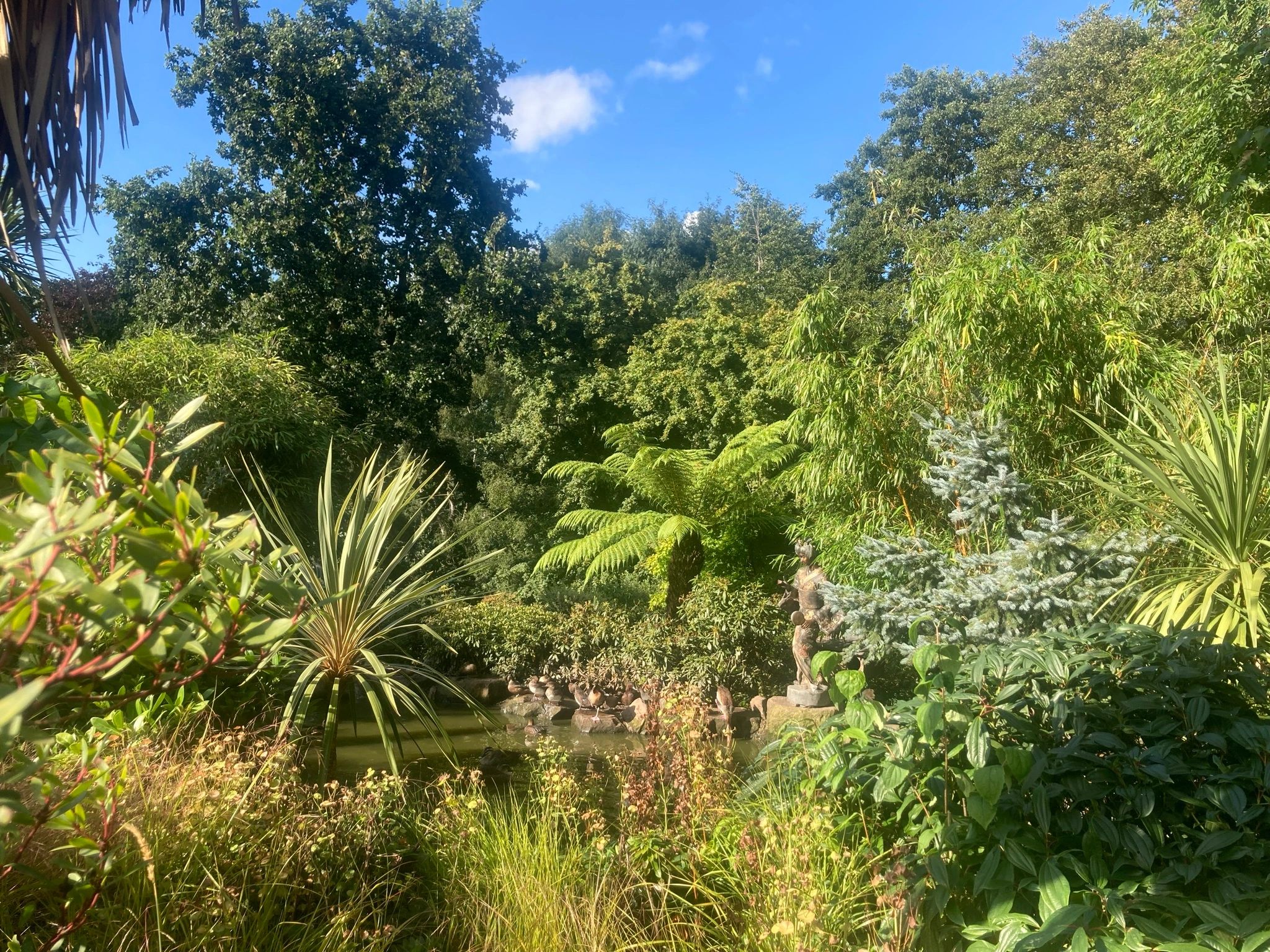 Treatments Aqua massage therapy