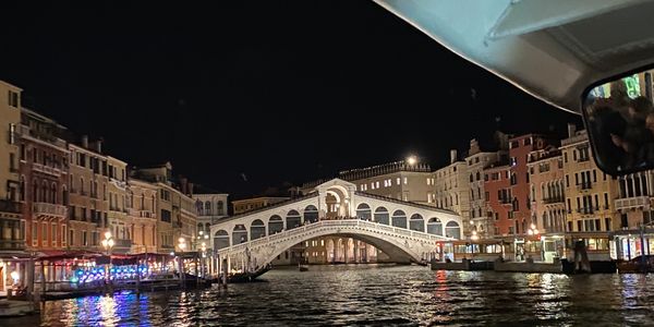 The Rialto Bridge Venice