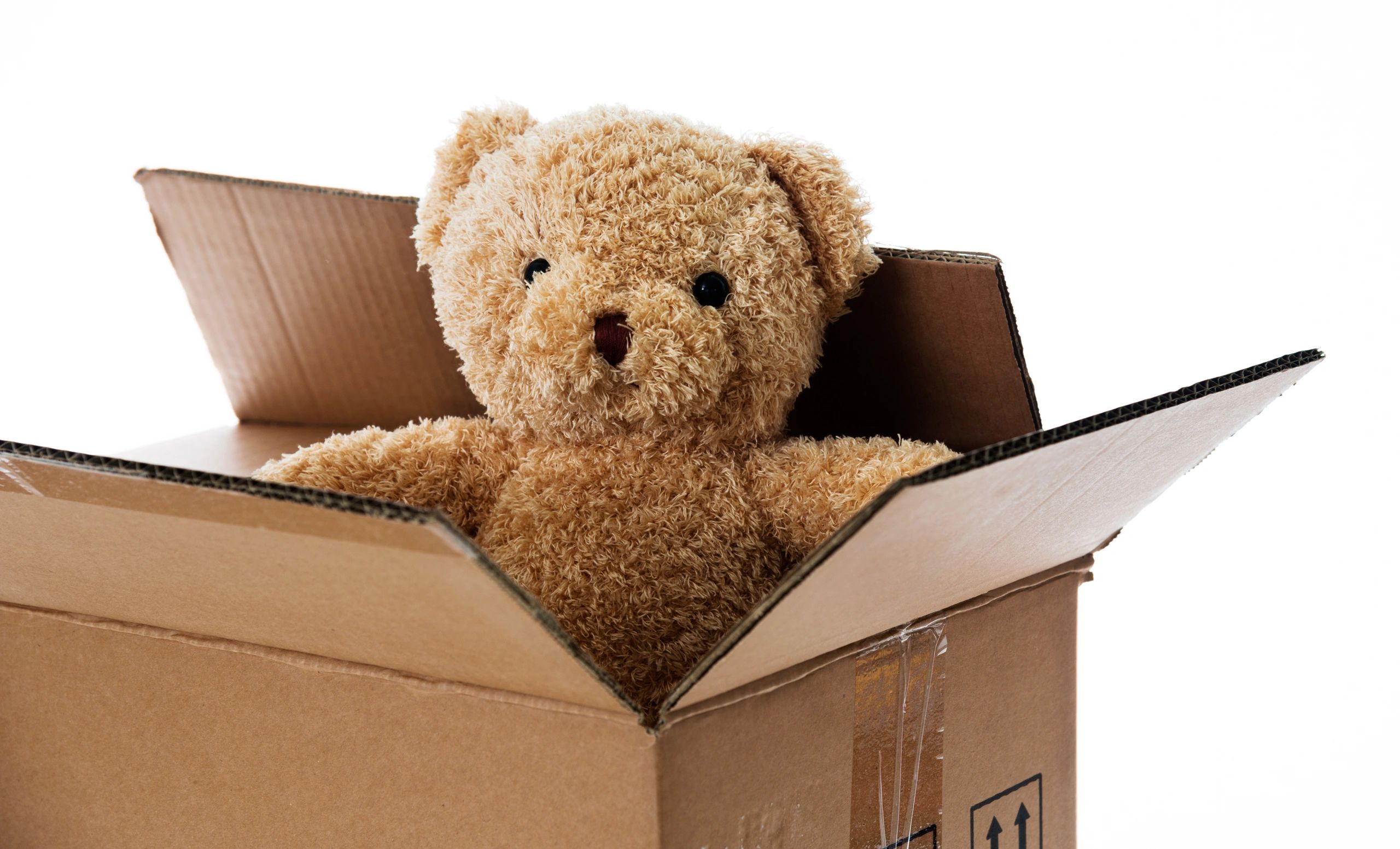 Teddy box