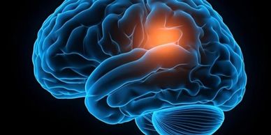 A brain with a section of it lighting up.