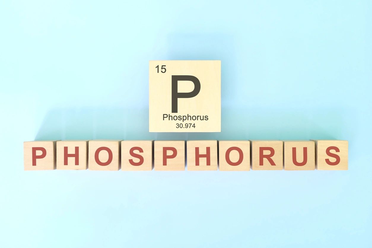 Phosphorus reduction in the Everglades ignored...again