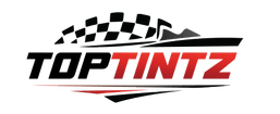 toptintz.ca