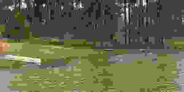 image147