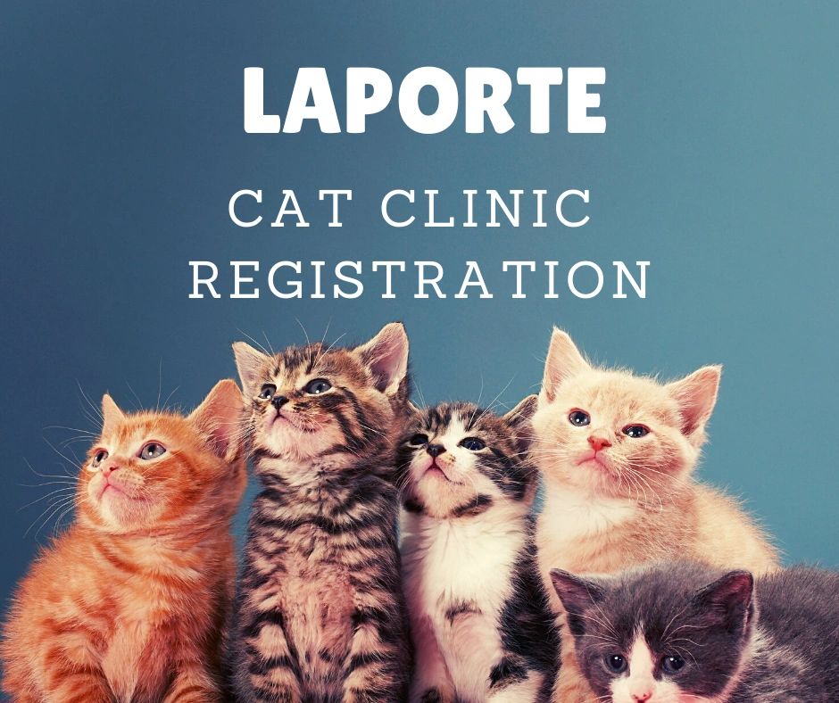 March 24, 2023 LaPorte, IN - Cat Spay/Neuter Clinic Check In March 24, 2023 LaPorte, IN - Cat Spay/Neuter Clinic Check In