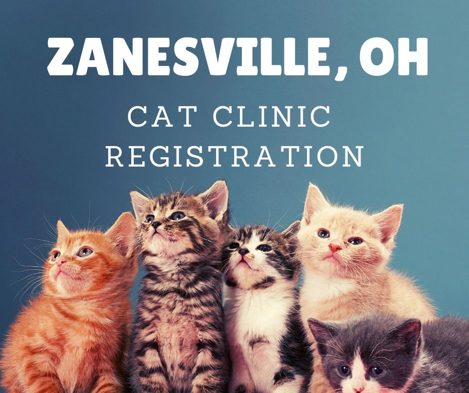 June 25, 2023 Zanesville, OH Cat Spay/Neuter Clinic Check In