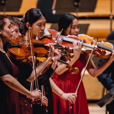 Group of violinists playing in an orchestra.