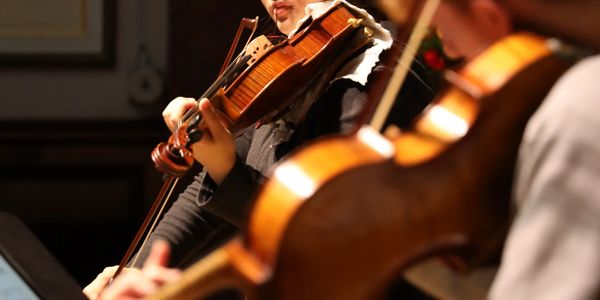 Musicians playing violins in a concert.