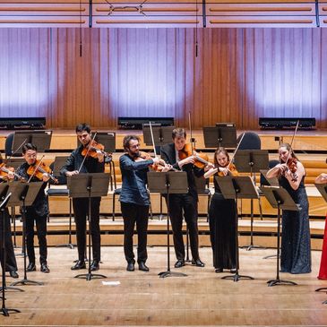 Group of violinists performing on stage.