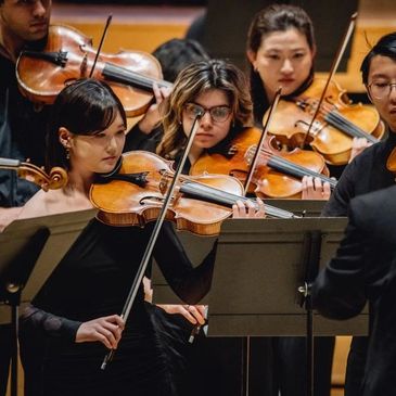 Group of violinists playing in an orchestra.