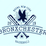 Bronxchester little league