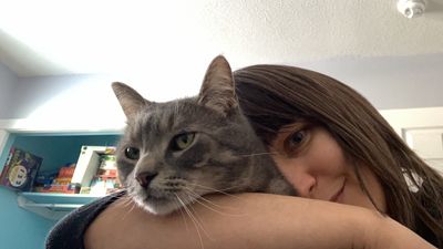 Me, in my office, nuzzled into my cat, a grey tabby 3 year old cat who's looking away from me, rude!