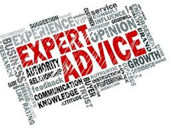 Expert Witness