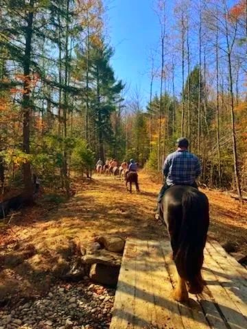 9 Day Trail Ride Group Trail Ride (1hr)