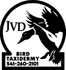JVD Bird Taxidermy