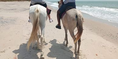 Une randonnée équestre au long de la plage 
