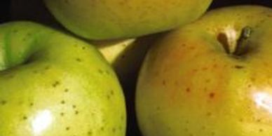 Yellow green colored apples
