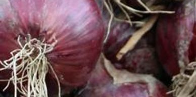 Red onions