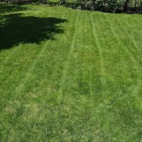 lines still visible from last week 