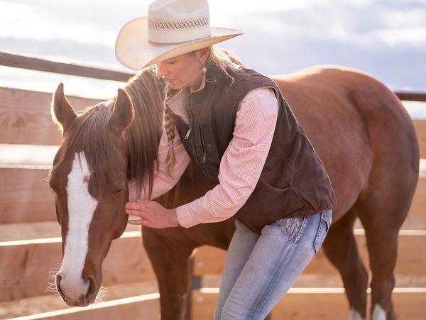 equine myofascial release