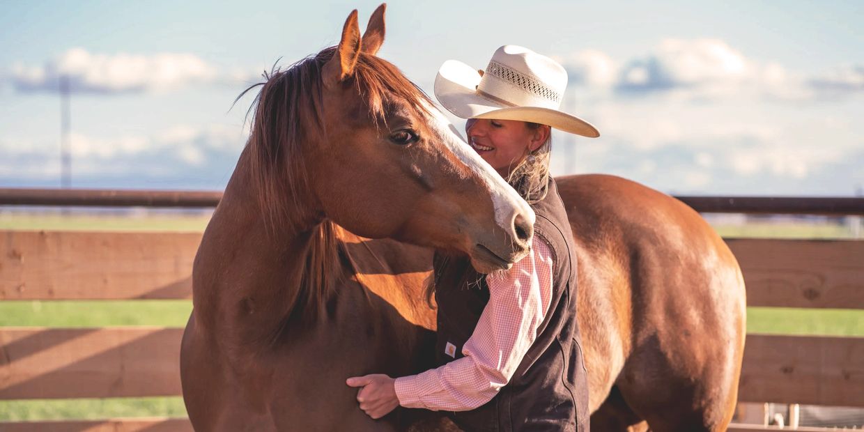 equine bodywork