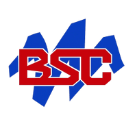 BUILT STRONG CONSTRUCTION 