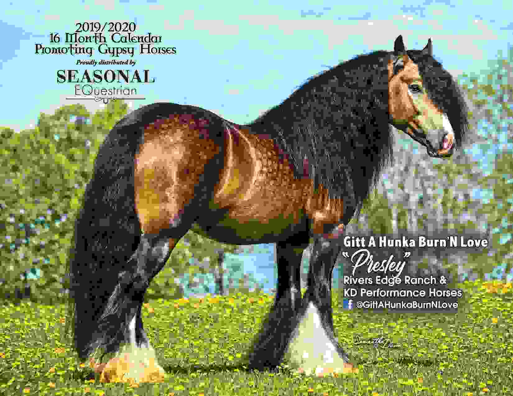 Calendars Seasonal Equestrian
