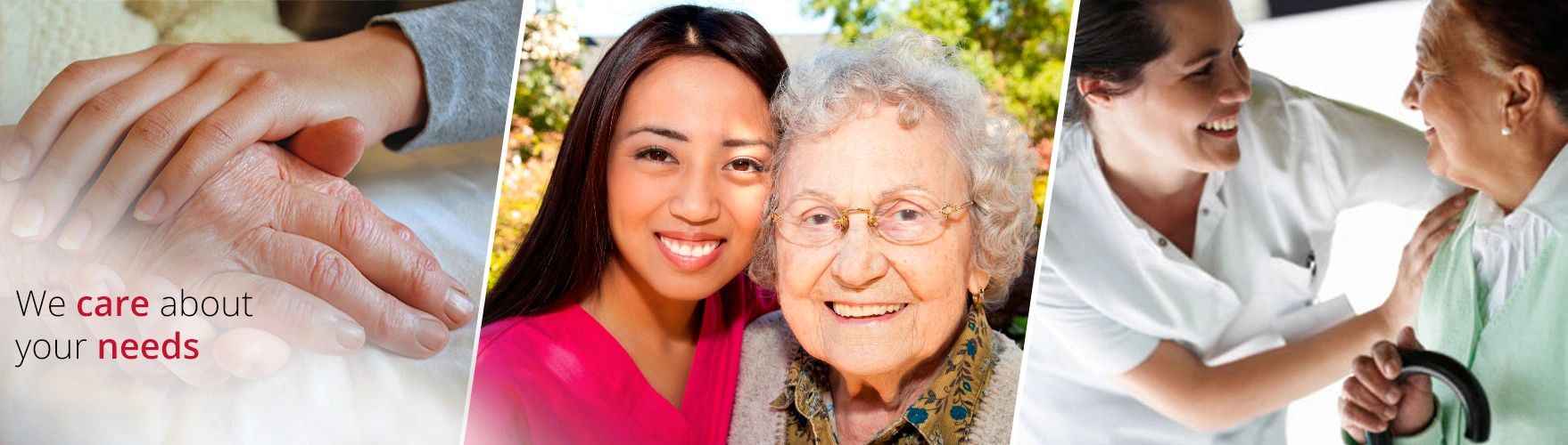 Paragon Home Care Home Care, Transportation, Caregiver