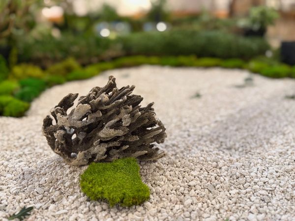 Installation detail. Moss ball and coral piece in the middle of a gravel garden.