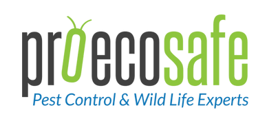 Pro Eco Safe Pest Control - Pest Control, Wild Life Removal