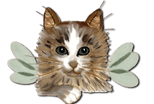 

Feline Fairies, Inc.
A no kill rescue