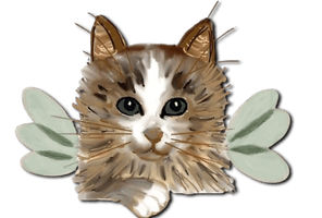 

Feline Fairies, Inc.
A no kill rescue