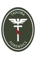 Plan B Forensics LLC