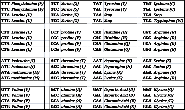 Codon Table