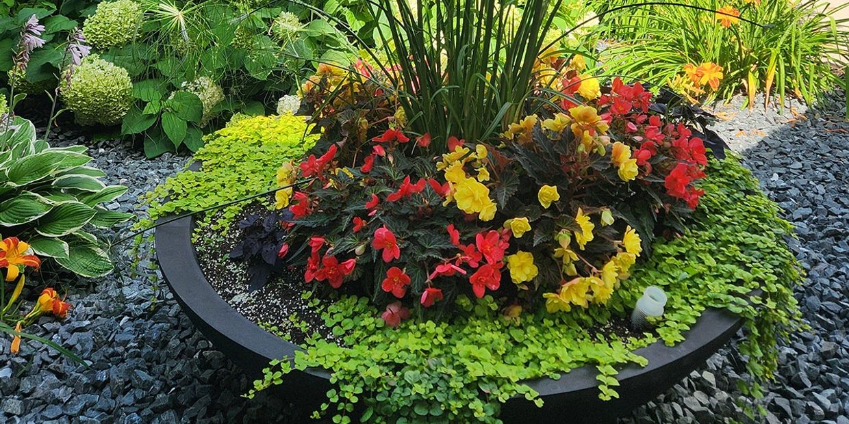 Colorful flower arrangement in a garden planter.