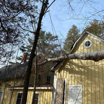 A tree fell on a home and we were called to remove it without further damage. Storm services! 