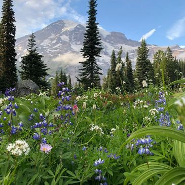 Photo of mountain and flowers in PNW