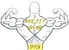 beefitgear.com