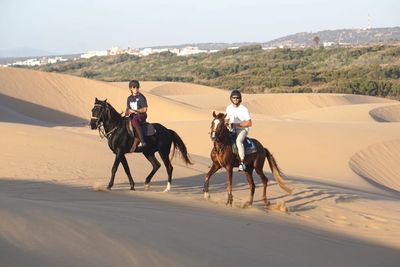 Guests horse riding along the coastline in Essaouira