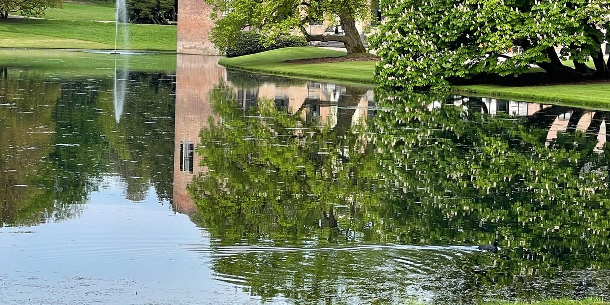 Kasteel Rosendael