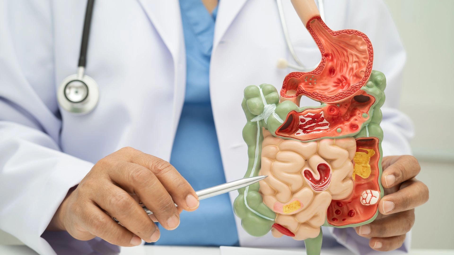 Internal Medicine Doctor